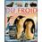 Les animaux du froid