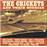 Crickets and their buddies