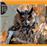 Calendrier 2013 30x30 Pictura Chouettes et hiboux
