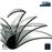 Symphonies no.6 & 7-sacd-_0