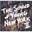 Sound of young new york vol 2