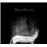 Dog songe_0
