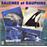 Baleines et Dauphins, Chants et appels des cetaces