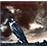 Jeu du faucon/falcon and the snowman