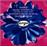 Symphonie N°1 / op.9 - Adagio for strings - Ouverture