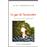 Pas de l'aventurier.a propos de rimbaud