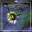 Concertos pour violon, Volume 1