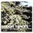 Goom tracks/vol 1
