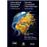 Normes comptables internationales