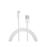 Apple Lightning naar USB Kabel - 1M_0