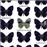 Carnaval - Papillons_0