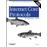 Internet core protocols the definitive guide
