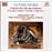 Oeuvres pour orchestre, Volume 4