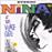 Nina Simone At The Village Gat