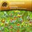 Sonates pour violon N°5 et N°9