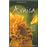 Arnica