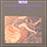 Musica al Tempo del Guido Reni_0