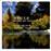 Romance pour alto et piano