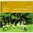 Chants de okapi forest vol2