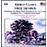 Symphonie sur un hymne - Symphonie N°2 et N°3 - Pilgrims and Pioneers