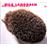 Sentimental journey ballads II