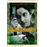 Charulata_0