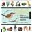 1000 ideas for creative reuse