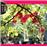 Calendrier 2013 30x30 Pictura jardins secrets