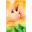 Guide de l'allaitement naturel_0