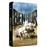 Ben-Hur - Combo Blu-Ray + DVD - Edition Prestige_0