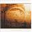 Selected Ambient Works Vol.2_0