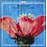 6 Concertos pour violon pour Anna Maria - Super Audio CD hybride