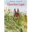 Chouchou Lapin_0