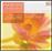 YUN: NOVELLETTE, PIANO TRIO, VIOLIN