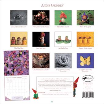 Calendrier 2013 30x30 Pictura Anne Geddes