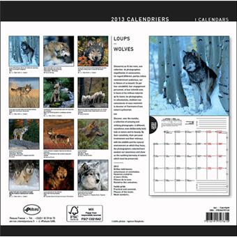Calendrier 2013 30x30 Pictura Loups