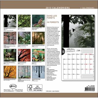 Calendrier 2013 30x30 Pictura Dans les forêts