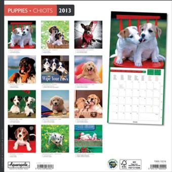 Calendrier 2013 30x30 Aquarupella Chiots