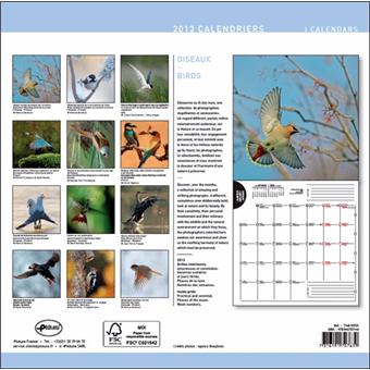 Calendrier 2013 30x30 Pictura oiseaux