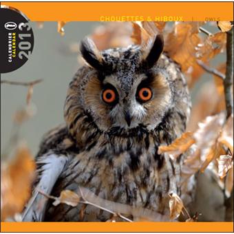 Calendrier 2013 30x30 Pictura Chouettes et hiboux