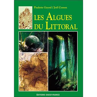 Les algues - 1
