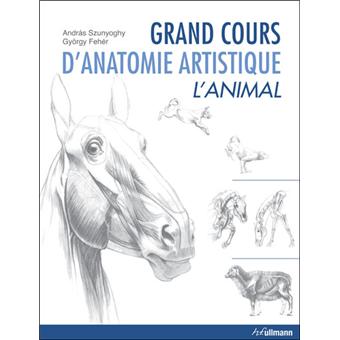 COURS DANATOMIE ARTISTIQUE DOWNLOAD COURS DANATOMIE ARTISTIQUE DOWNLOAD