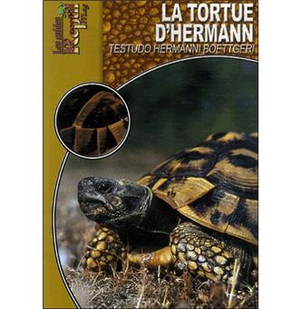 Adopter une tortue de terre : la tortue d'Hermann