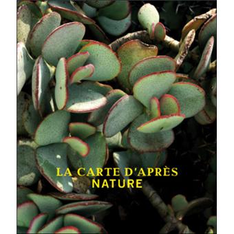 Thomas Demand La carte d´après nature