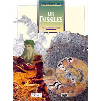 Roches, minéraux, pierres précieuses : Dan Green - 207512244X - Les  documentaires dès 6 ans - Livres pour enfants dès 6 ans