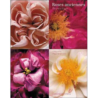 Roses anciennes et botaniques - 1