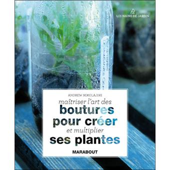 Boutures pour créer ses plantes - 1