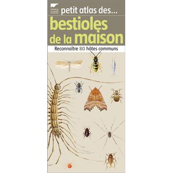 Petit Atlas Des Bestioles De La Maison 80 Hotes Communs Broche Francois Lasserre Achat Livre Fnac