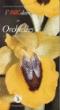 L'abcdaire des orchidees - Geneviève Carbone - broché