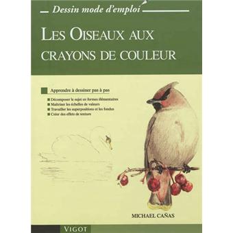 Les Oiseaux Aux Crayons De Couleur Apprendre à Dessiner Pas à Pas Décomposer Le Sujet En Formes élémentaires Maîtriser Les échelles De Valeurs